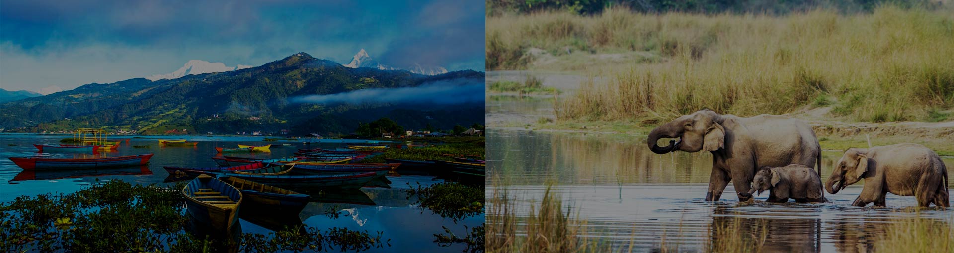 Kathmandu-Manakamana-Pokhara-Chitwan Tour